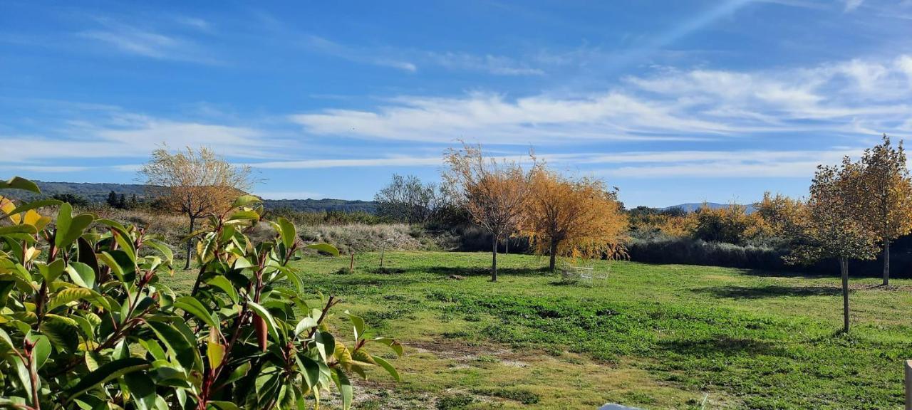 Domaine Des Francobelges - Lauris
